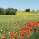 Brise Lejlighed